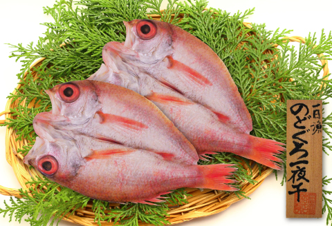 低塩熟成製法干物　のどぐろ一夜干し 2枚【合計250g のどぐろ干物 無添加 天日塩 島根県産 大田市 魚介類 魚 高級魚 ノドグロ アカムツ あかむつ 干物 新鮮 冷凍 真空パック 産地直送】