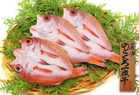 のどぐろ一夜干し（干物）3枚 旬獲れ【のどぐろ 干物 合計285g のどぐろ干物 無添加 天日塩 低塩熟成 低塩 ノドグロ アカムツ あかむつ 干物 一夜干し 新鮮 冷凍 真空パック 贈答 父の日 母の日】