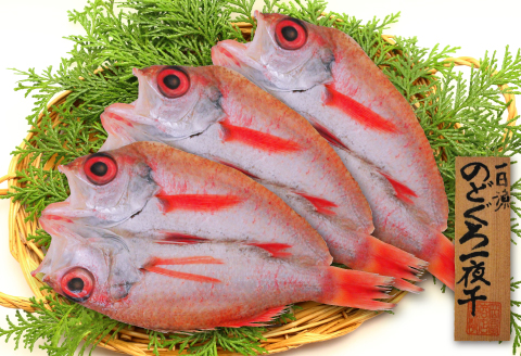 天日塩干物　のどぐろ一夜干し 3枚【合計450g のどぐろ干物 無添加 天日塩 島根県産 大田市 魚介類 魚 高級魚 ノドグロ アカムツ あかむつ 干物 新鮮 冷凍 真空パック】