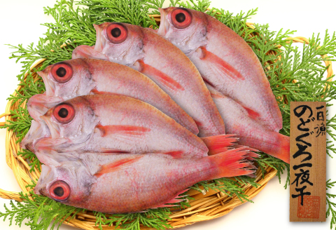 低塩熟成製法干物　のどぐろ一夜干し 4枚 【合計500g のどぐろ干物 無添加 天日塩 島根県産 大田市 人気 魚介類 高級魚 ノドグロ アカムツ 干物 トロ 新鮮 冷凍 真空パック】