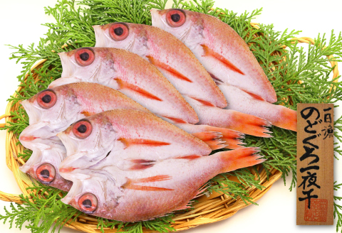 のどぐろ一夜干し（干物）5枚 旬獲れ【のどぐろ 干物 合計500g のどぐろ干物 無添加 天日塩 低塩熟成 低塩 ノドグロ アカムツ あかむつ 一夜干し 新鮮 冷凍 真空パック 贈答 母の日 父の日】