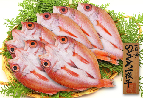 のどぐろ一夜干し 6枚 小ぶりだけど旨い干物【干物 のどぐろ 合計550g のどぐろ干物 無添加 天日塩 魚介類 高級魚 ノドグロ アカムツ 一夜干し 新鮮 冷凍 真空パック 贈答 父の日 母の日】