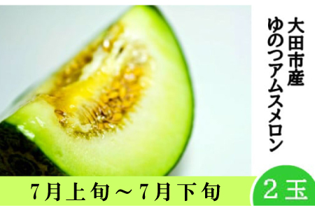 【春作】温泉津アムスメロン×２玉（配達指定日不可）【アムスメロン メロン 2玉 青肉 期間限定 季節限定 果物 フルーツ くだもの 贅沢 ご褒美 デザート 先行予約】