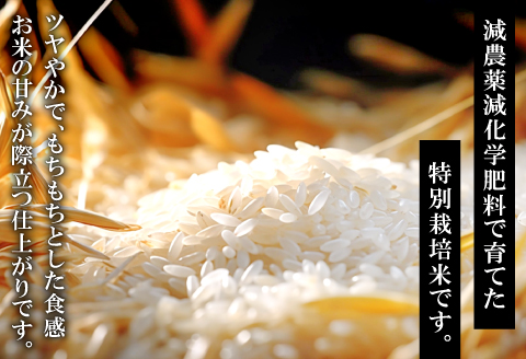 さんべ浮布米（無洗米）5kg【令和7年産 お米 コシヒカリ 5kg こしひかり 無洗米 2025年産 特別栽培米 米 おこめ こめ うるち米 浮布米 減農薬 減化学肥料 美味しまねゴールド認証 島根県産 大田市産】