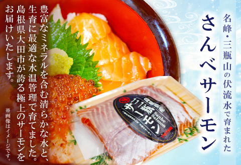 さんべサーモン 400g【サーモン 400g フィレ サーモントラウト ニジマス サーモン さけ シャケ しゃけ sake 生食用 刺身 お刺身 刺し身 魚介類 海鮮 冷凍 真空パック】