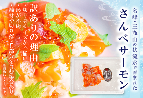 【訳あり】さんべサーモン切り落し 300g【サーモン 300g 切り落し サーモントラウト ニジマス サーモン さけ シャケ しゃけ sake 生食用 刺身 お刺身 刺し身 魚介類 海鮮 冷凍】