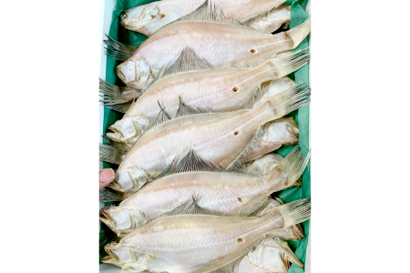 水揚げ直後！干しカレイ(６枚入り)【干物 カレイ かれい 6枚 魚 さかな 旬 エテカレイ 干しカレイ 国産 無添加 水揚げ直後 冷蔵 ノンフローズン 季節限定 大田市】