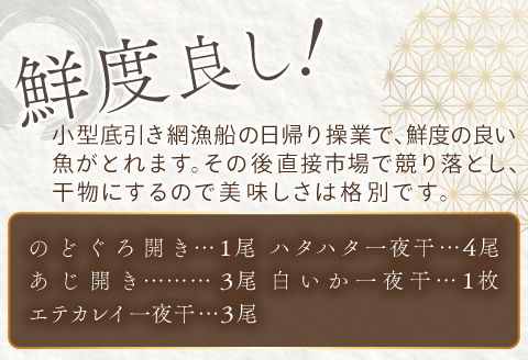 定番の干物５種詰合せセット【干物セット 人気 ノドグロ アジ エテカレイ ハタハタ 白いか のどぐろ 鯵 鰈 鰰 白イカ 島根県産 島根県沖 一夜干し 干物 ひもの 魚 高級魚 贈答 ギフト お取り寄せグルメ お中元】