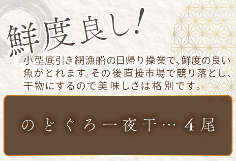 ノドグロ一夜干４尾セット【のどぐろ一夜干し のどぐろ 干物 4尾 1尾あたり140～160g 島根県産 大田市産 魚介類 魚 ノドグロ のど黒 高級魚 干物 真空パック 冷凍】