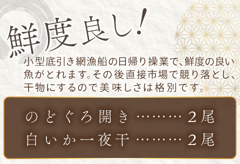 ノドグロ・白イカ一夜干セット【干物セット のどぐろ一夜干し いか 一夜干し のどぐろ干物 2尾 1尾あたり140～160g 白イカ干物 2尾 1尾あたり140g前後 島根県産 大田市産 ノドグロ しろいか 干物 真空パック 冷凍 贈答 ギフト】