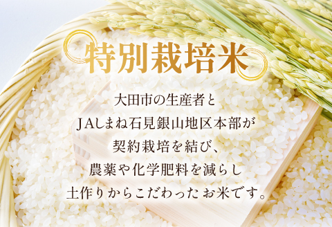 【定期便】氷感熟成「つや姫」定期便(5kg×5回お届け) 【米 定期便 つや姫 お米 5kg 定期 5回 特別栽培米 5kg×5回 合計25kg 島根県産 大田市産 こめ おこめ 氷感熟成 減農薬】