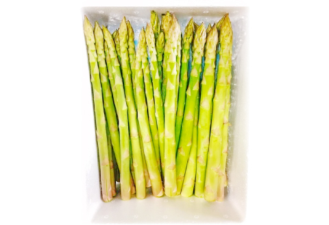アスパラガス（約１ｋｇ）【季節限定 アスパラガス アスパラ 約1kg 20～40本 美味しまね認証 安心 安全 甘い とろける 初夏 野菜 初夏 塩ゆで 肉巻き おかず 期間限定 4月～9月中旬発送】