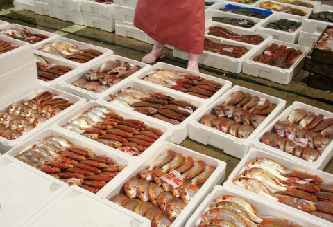 【訳あり】割れ煎餅！体に優しい「かまぼこ屋さんの鯛せんべい」【訳アリ 煎餅 せんべい 割れせんべい 和菓子 菓子 おやつ 11袋 個包装  無添加 ノンフライ グルテンフリー 小麦粉不使用 】