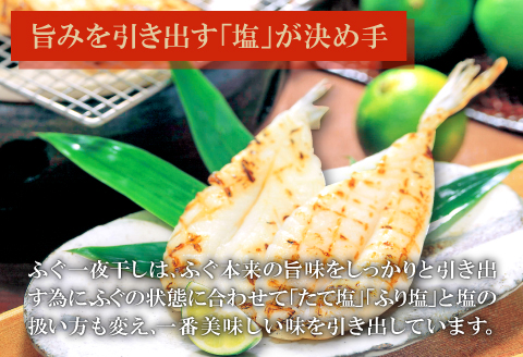 鮮度と塩にこだわり！ ふぐ一夜干し （3尾×2袋）【ふぐ 干物 フグ 3尾 2袋 合計6尾 一夜干し 一夜干 新鮮 素焼き 天ぷら 唐揚げ おつまみ 河豚 骨なし 肉厚 贈答 ギフト 父の日 母の日】