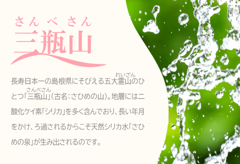 ナチュラルミネラルウォーター「さひめの泉」 ペットボトルセット（500ml×24本×1箱、2L×6本×1箱）【水 500ml 24本 2L 6本 ペットボトル シリカ水 シリカ ミネラルウォーター】