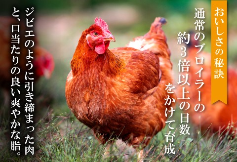 熟成・香草焼き（半羽×１本）【鶏肉 地鶏 香草焼き 半羽 1本 鶏 赤鶏 赤どり 熟成 無農薬 安心 安全 長期飼育 唐揚げ 焼き鳥 すき焼き 真空パック 真空 冷凍 国産 島根県 大田市】