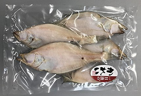 【訳あり】魚の干物おまかせ詰合せセット（のどぐろ入り） 【干物 4～5種 ランダム お楽しみ 島根県産 大田市 魚介類 のどぐろ 白いか アジ カレイ 無添加 天日塩 減塩仕立て 冷凍】