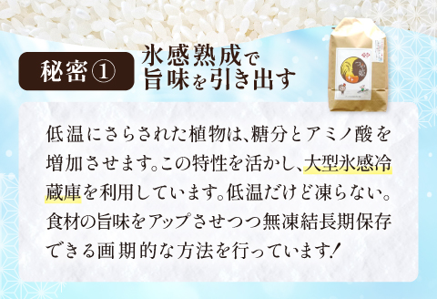 氷感熟成「つや姫」5kg【米 5kg つや姫 特別栽培米 こめ おこめ お米 島根県産 大田市産 氷感熟成 石見銀山氷感つや姫 減農薬 減化学肥料】
