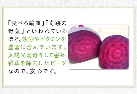 【季節限定品】あまくて真っ赤なビーツ2.5㎏【ビーツ 食べる輸血 奇跡の野菜  健康野菜 スーパーフード カエンサイ ボルシチ ポタージュ スムージー スイーツ ビタミン】
