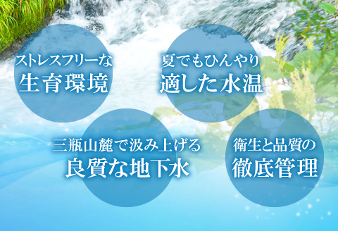 【訳あり】さんべサーモン切り落し 300g【サーモン 300g 切り落し サーモントラウト ニジマス サーモン さけ シャケ しゃけ sake 生食用 刺身 お刺身 刺し身 魚介類 海鮮 冷凍】