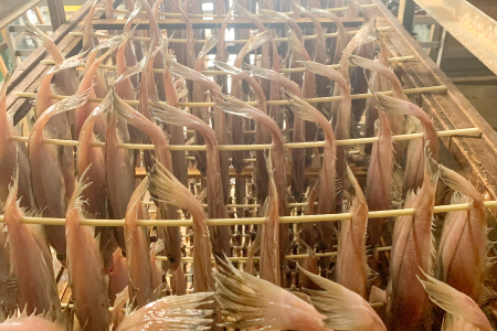 水揚げ直後！干しカレイ(６枚入り)【干物 カレイ かれい 6枚 魚 さかな 旬 エテカレイ 干しカレイ 国産 無添加 水揚げ直後 冷蔵 ノンフローズン 季節限定 大田市】