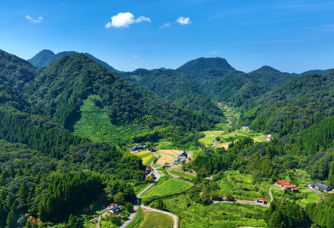 【令和7年産 先行予約】産地直送　源流に育まれた、キヌムスメ米（5kg）【お米 5kg 先行予約 きぬむすめ 令和7年度産 新米 2025年度産 島根県産 絹娘 精米 白米 大田市産 米 2025年産 こめ おこめ JA 島根県 大田市】