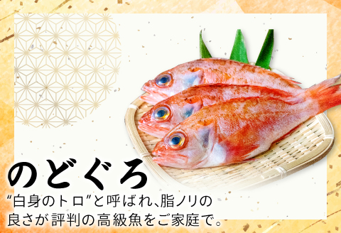 ノドグロ一夜干４尾セット【のどぐろ一夜干し のどぐろ 干物 4尾 1尾あたり140～160g 島根県産 大田市産 魚介類 魚 ノドグロ のど黒 高級魚 干物 真空パック 冷凍】