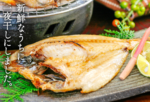 のどぐろ一夜干・姿煮詰合せ 各3袋セット【のどぐろ 干物 3尾 姿煮 3尾 ノドグロ アカムツ のどぐろ煮付 のどぐろ一夜干し 煮魚 個包装 冷凍 自宅用 贈答 ギフト 島根県 大田市】