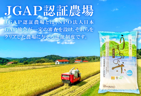さんべ浮布米（無洗米）定期便（5kg×2回コース）【無洗米 定期便 2回 先行予約 コシヒカリ 5kg 2回定期 令和6年産 こしひかり 合計10kg お米 2024年産 特別栽培米 島根県産 大田市産 減化学肥料】