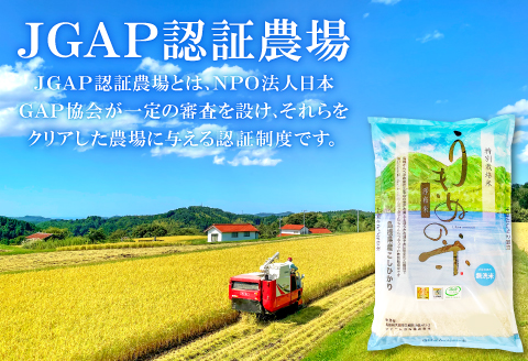 さんべ浮布米（無洗米）定期便（8kg×3回コース）【令和6年産 2024年産 定期便 3回 特別栽培米 コシヒカリ 無洗米 8kg×3回 合計24kg 島根県産 大田市産 米 減農薬】