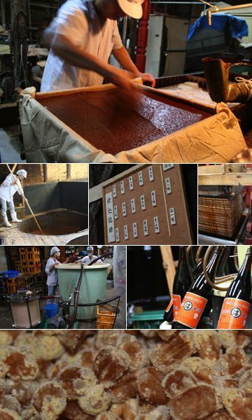 原醤油の醤油セットB【うまくち醤油 竹醤油 さしみ醤油 青唐醤 金山寺もろみ 5種 詰め合わせ セット 調味料 醤油 薬味 濃口醤油 ギフト 贈り物 贈答 プレゼント お歳暮 お中元】