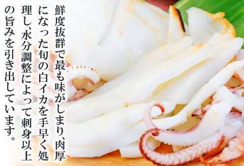 「釣りものケンサキイカに厳選」白いか一夜干（3枚入）【いか一夜干し 白いか 干物 60～80g 3枚 一夜干し 一夜干 イカ いか ケンサキイカ 贅沢 おつまみ お酒の肴 贈答 ギフト 冷凍 父の日 母の日】