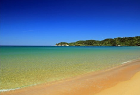 大田市観光小型タクシー貸切フリー利用券(2時間貸切)