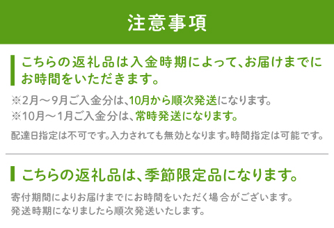 農薬化学肥料不使用の紫菊芋　5kg【菊芋 野菜 紫菊芋 芋 赤菊芋 農薬不使用 化学肥料不使用 季節限定 期間限定 数量限定 島根県 大田市】