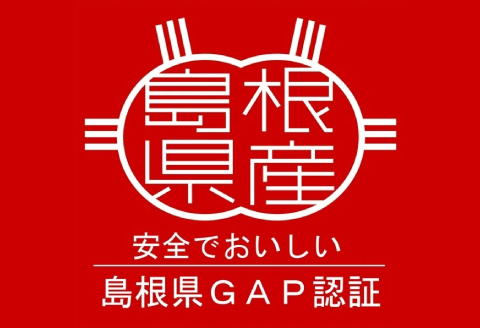 アスパラガス（約１ｋｇ）【季節限定 アスパラガス アスパラ 約1kg 20～40本 美味しまね認証 安心 安全 甘い とろける 初夏 野菜 初夏 塩ゆで 肉巻き おかず 期間限定 4月～9月中旬発送】