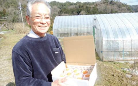 とっさんの真っ赤っかオレンジ（ブラッドオレンジ：モロ種）（配達指定日不可）【ブラッドオレンジ 1箱 1.5kg～2kg 有機栽培 無農薬 オレンジ おれんじ くだもの 果物 フルーツ スムージー ジュース】