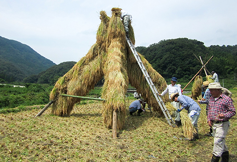 竜馬が醸す石見の地酒「開春」辛口純米酒セット【日本酒 3本 セット 3種類 720ml 開春 純米超辛口 生酛純米 西田 純米 備前雄町 辛口純米酒 辛口 純米酒 飲み比べ 4合瓶 ギフト 父の日】