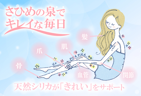 ナチュラルミネラルウォーター「さひめの泉」2L×6本×2箱【水・ミネラルウォーター 2000ml 水 2L 12本 天然水 ミネラルウォーター 軟水 シリカ水 シリカ ペットボトル】