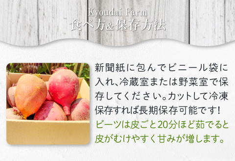 【季節限定品】あまくて真っ赤なビーツ2.5㎏【ビーツ 食べる輸血 奇跡の野菜  健康野菜 スーパーフード カエンサイ ボルシチ ポタージュ スムージー スイーツ ビタミン】