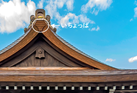 スマホウッドスピーカー（iPhone用）いちょっぱ 大サイズ【スピーカー ホーン型 iPhone用 ウッドスピーカー 木製 インテリア】