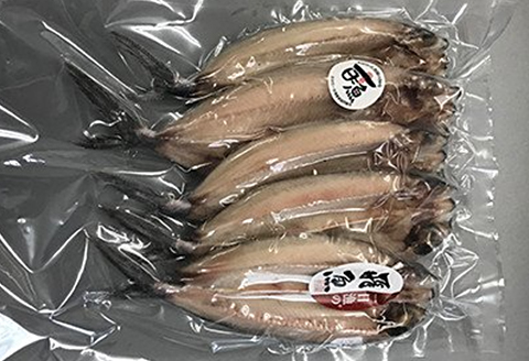 【訳あり】魚の干物おまかせ詰合せセット（のどぐろ入り） 【干物 4～5種 ランダム お楽しみ 島根県産 大田市 魚介類 のどぐろ 白いか アジ カレイ 無添加 天日塩 減塩仕立て 冷凍】