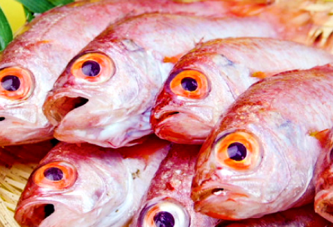 定番の干物４種詰合せセット【干物 セット アジ エテカレイ ハタハタ 白いか 鯵 鰈 鰰 白イカ 島根県産 島根県沖 一夜干し ひもの 魚 魚介 日本食 和食 贈答 ギフト お取り寄せグルメ ご当地グルメ】