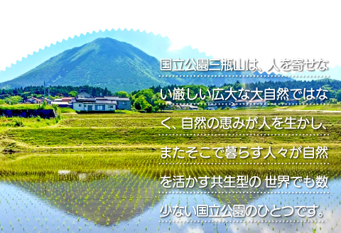 クッキー缶【クッキー 缶 洋菓子 焼菓子 焼き菓子 お菓子 おやつ てんさい糖 保存料不使用 着色料不使用 無添加 オリジナル クッキー缶 おうちカフェ 手土産 詰め合わせ ギフト 島根県 大田市】