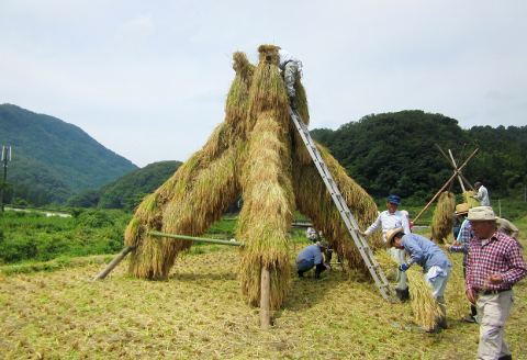 開春 生酛純米大吟醸 720ml（1本）【日本酒 1本 720ml 純米酒 開春 辛口 生酛 きもと 生もと純米 生もと純米大吟醸 大吟醸 最高級 高級 冷や 燗 熱燗 お酒 酒 父の日 島根県 大田市】