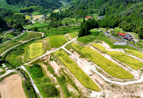 【令和7年産 先行予約】産地直送　源流に育まれた、コシヒカリ米（5kg）【コシヒカリ 5kg 先行予約 お米 令和7年 こしひかり 令和7年度産 2025年度産 島根県産 精米 白米 新米 大田市産 米 こめ おこめ 産地指定 JA 島根県 大田市】