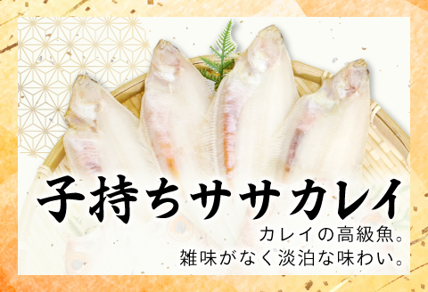 ノドグロ・笹カレイセット【のどぐろ一夜干し かれい一夜干し 干物セット のどぐろ干物 2尾 1尾あたり160～180g 笹カレイ干物 4尾 1尾あたり50～60g 島根県産 大田市産 ノドグロ 子持ち笹カレイ カレイ 干物 真空パック 冷凍】
