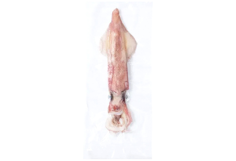 船上スミ抜きケンサキイカ 700g以上（3～5杯）【いか 剣先いか 700g以上 烏賊 イカ ケンサキイカ 贅沢 刺身 おかず おつまみ お酒 冷凍 地物 天然物 新鮮 真空パック 旨い 海産物 魚介類 獲れたて】