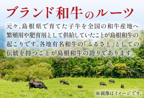 三瓶の極み 島根和牛A5 焼肉用500g