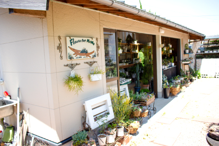 多肉植物のリース型寄せ植え【多肉植物 植物 グリーン おすすめ 約30種 よせうえ 観葉植物 手植え 癒し インテリア ナチュラル かわいい 自然 プレゼント ギフト 贈り物】