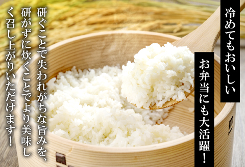 さんべ浮布米（無洗米）定期便（8kg×3回コース）【令和6年産 2024年産 定期便 3回 特別栽培米 コシヒカリ 無洗米 8kg×3回 合計24kg 島根県産 大田市産 米 減農薬】